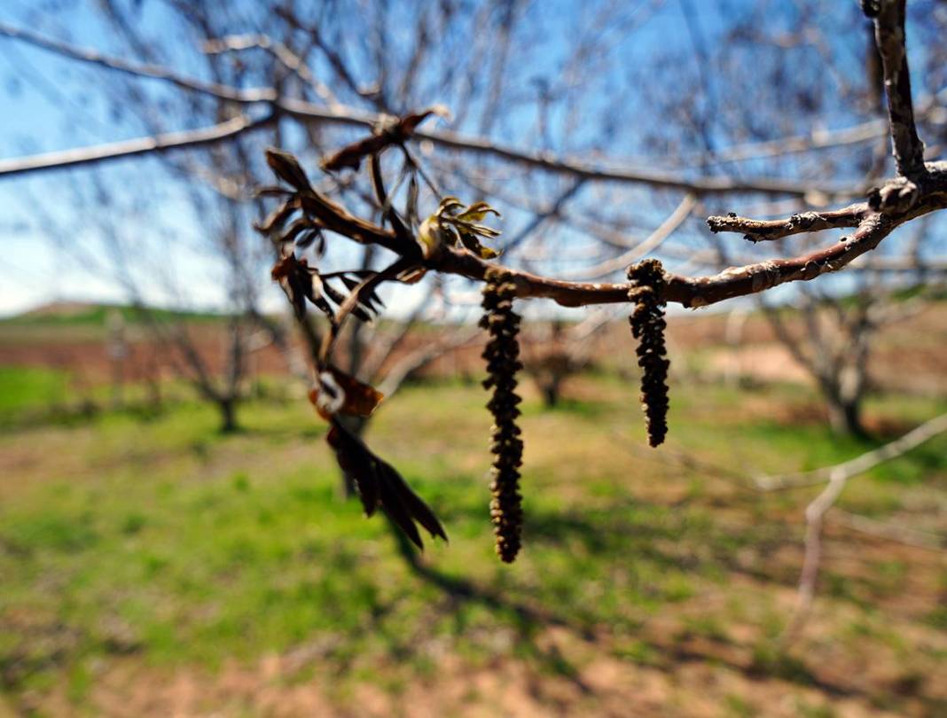 Tarımda tarihin en büyük felaketi yaşanıyor! Meyve, sebze fiyatlarında rekor artış yaşanacak 40